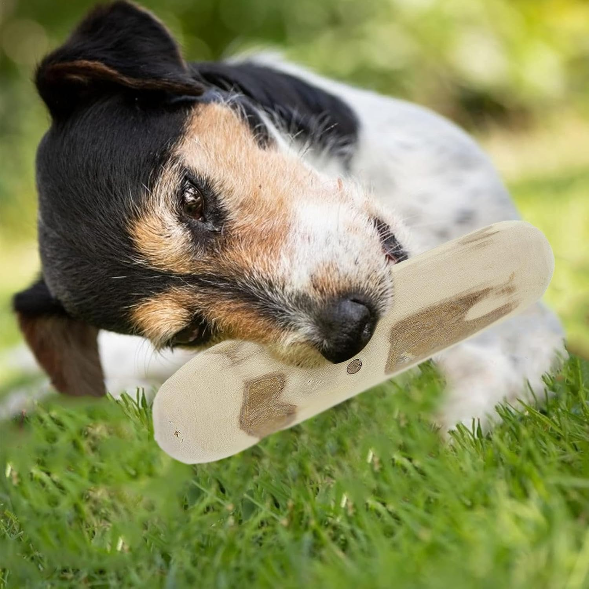 Varilla antiestresante y limpiador de dientes para perros